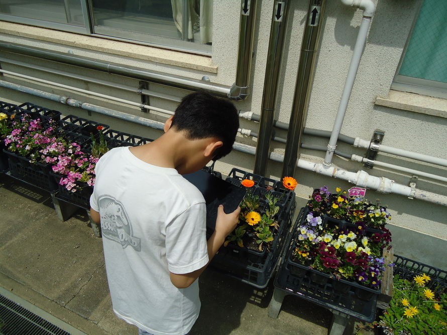 写真：観察3