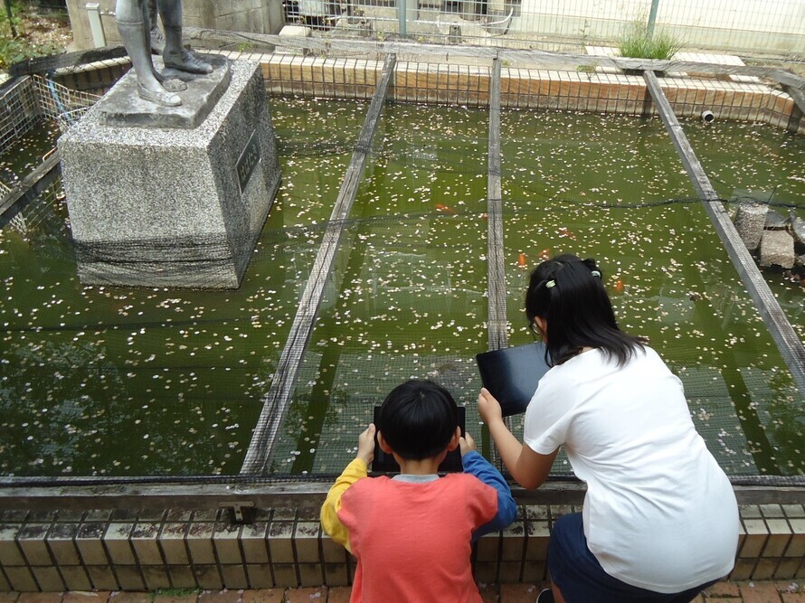 写真：観察4