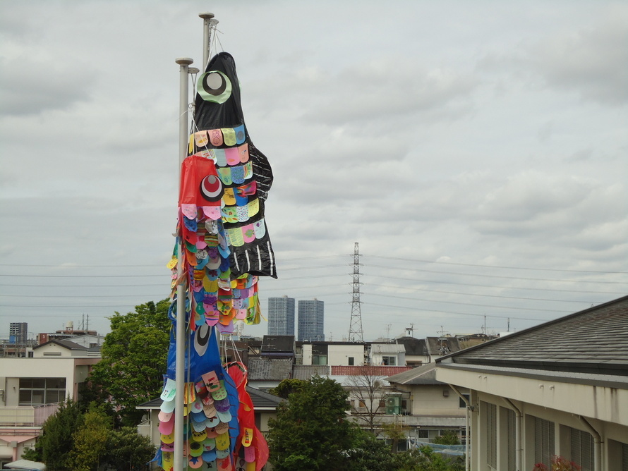 写真：こいのぼり