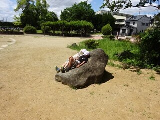 写真：八尾木公園5