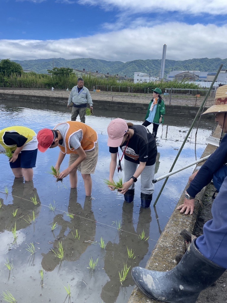 写真：田植え2