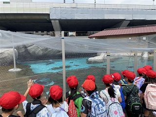 天王寺動物園2