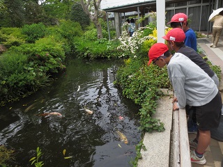 大仙公園2