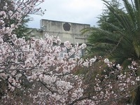 写真：JPG1