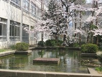 写真：JPG2