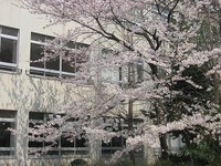 写真：JPG3