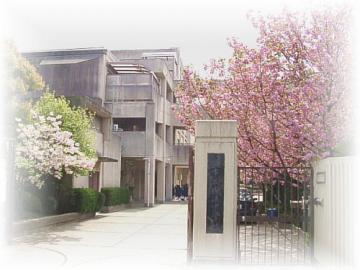 写真：成法中学校　外観