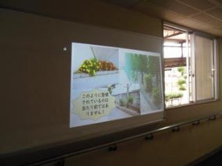 写真：職員室前スクリーン設置8