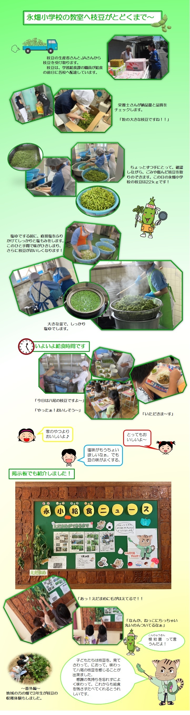 写真：八尾産の枝豆が教室に届くまでの様子