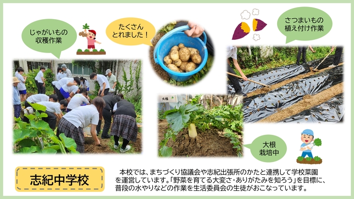 写真：志紀中学校の作品