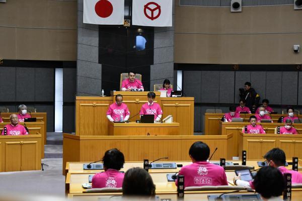 写真：ピンクシャツデー議会1