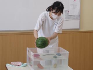 写真：野菜が水に浮かぶか実験している様子