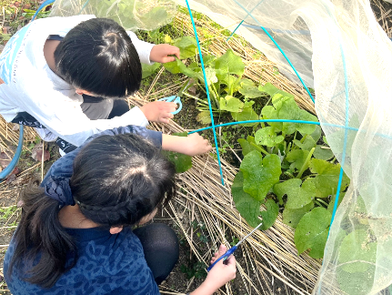 3年生・環境教育の取り組みについて03