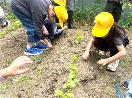 3年生・環境教育の取り組みについて04