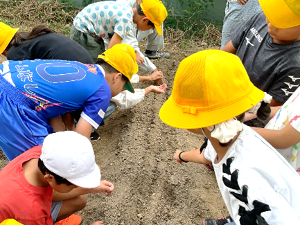 3年生・環境教育の取り組みについて05