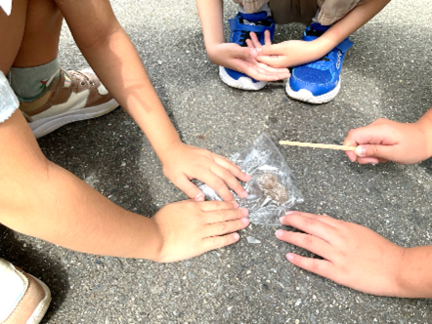 3年生・環境教育の取り組みについて07