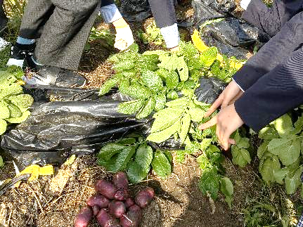 8年生の環境教育の取り組みについて08