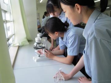 写真：理科の授業3