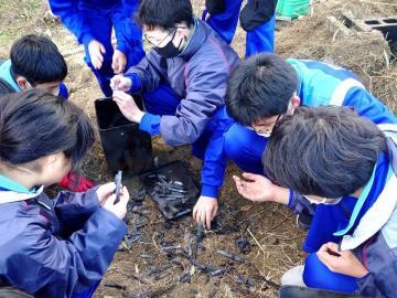 写真：科学部・竹炭づくり3