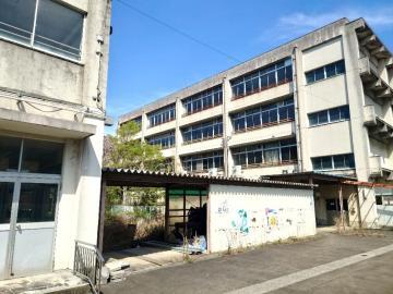 写真：科学部・シロバナタンポポの移植1