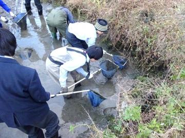写真：魚を捕まえようとする生徒たち