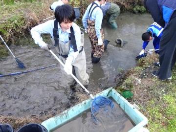 写真：魚を網で掬う生徒