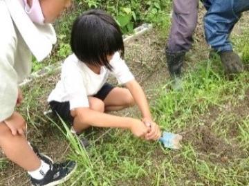 写真：学校・庭園ビオトープコンクール5