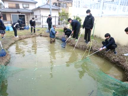 学校・庭園ビオトープコンクール2025に応募02