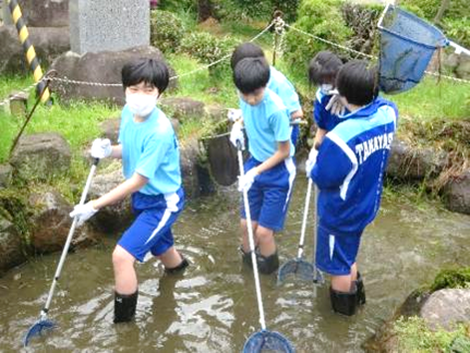 学校・庭園ビオトープコンクール2025に応募03