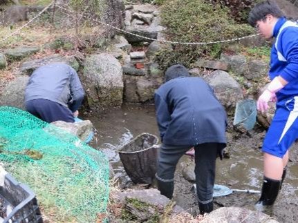 学校・庭園ビオトープコンクール2025に応募06