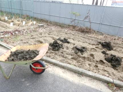 学校・庭園ビオトープコンクール2025に応募07