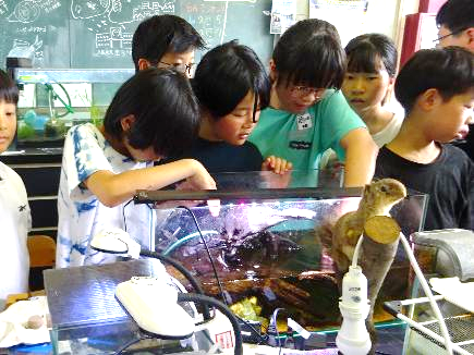 本校のビオトープに関する取り組み13