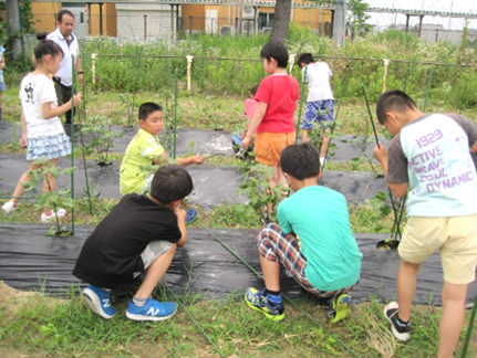 本校のビオトープに関する取り組み14