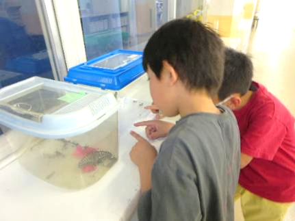 本校のビオトープに関する取り組み15