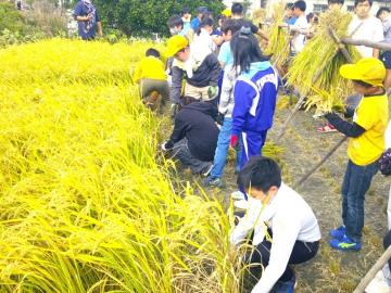 画像：校区の概要