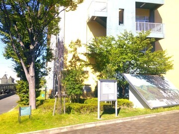 写真：記念庭園の剪定2