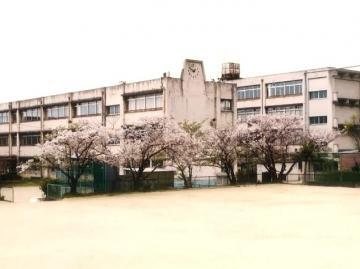 写真:平成23年(2011年)卒業アルバムより 校舎全景