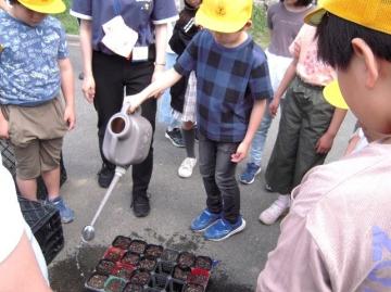 写真：理科の授業3