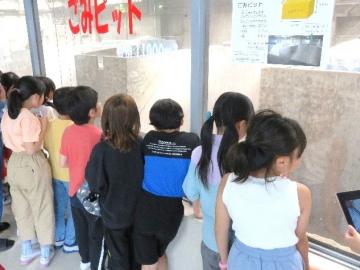 写真：社会見学5月17日2
