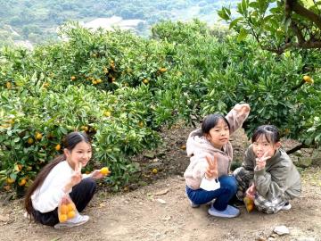 写真：みかんを食べる児童ら