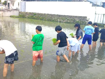 5年田植え-01
