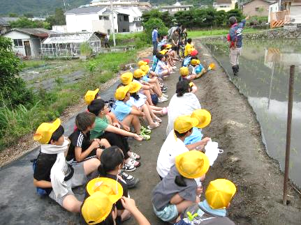 5年田植え-02