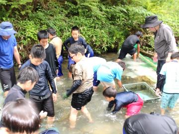 写真：川遊び・魚つかみ2