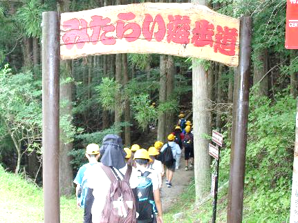 林間-02
