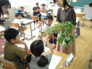 写真：八尾産枝豆の授業2