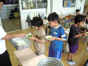 写真：八尾産枝豆1