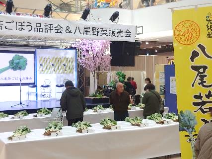 八尾若ごぼう品評会17