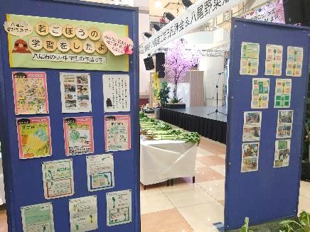 八尾若ごぼう品評会19