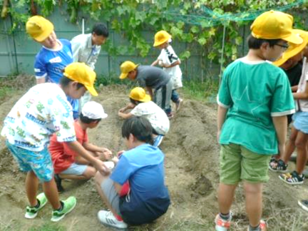 3年生・八尾若ごぼう出前授業02