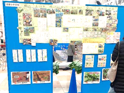 八尾若ごぼう品評会08